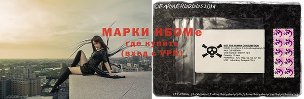 ешки Новодвинск