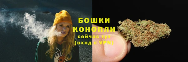 спайс Белая Холуница