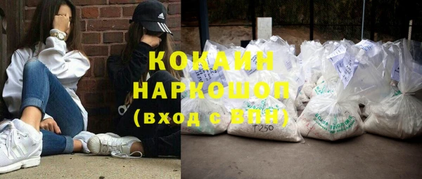 ешки Новодвинск