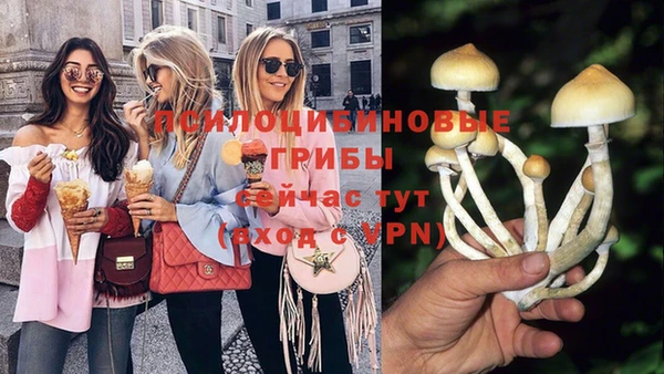 Альфа ПВП Новокубанск