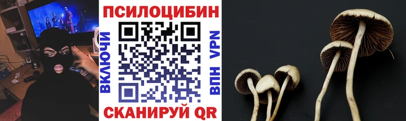 omg маркетплейс  Ликино-Дулёво  Галлюциногенные грибы ЛСД 